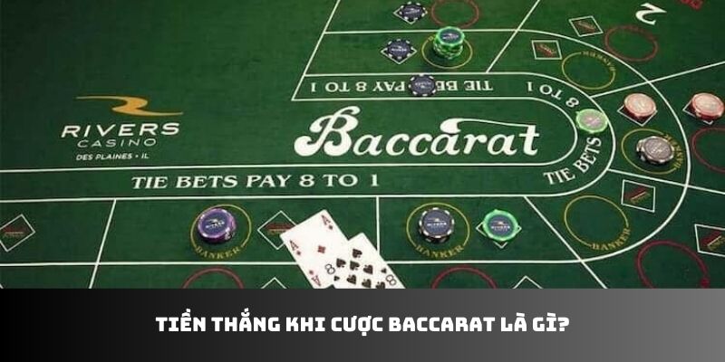 Tiền thắng khi cược Baccarat là gì?